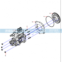 61000166 Pump, Injection
