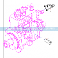 160401000001A Fuel Injection Pump Assembly
