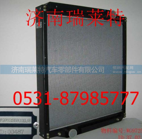 WG9725530011,,济南瑞莱特汽车零部件有限公司