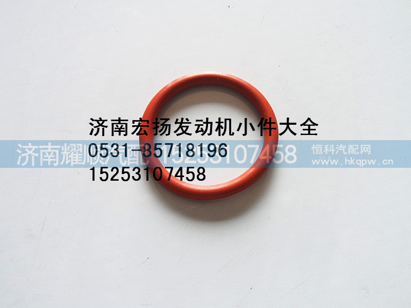 612630040028,WP12机油泵密封圈,济南耀顺汽车配件有限公司（重汽、潍柴发动机小件专卖）