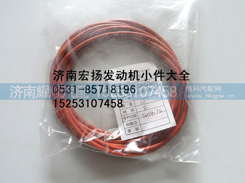 VG1246130012,重汽D12空压机密封圈,济南耀顺汽车配件有限公司（重汽、潍柴发动机小件专卖）