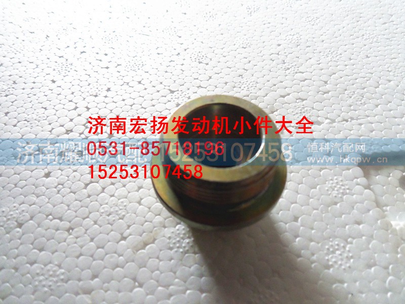 612600070160,WP10六角螺塞,济南耀顺汽车配件有限公司（重汽、潍柴发动机小件专卖）