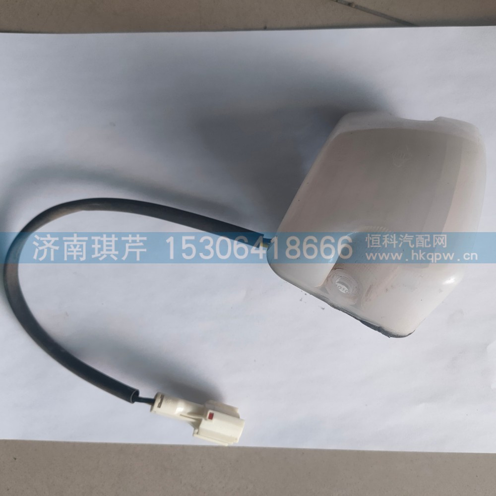左邊踏步燈總成