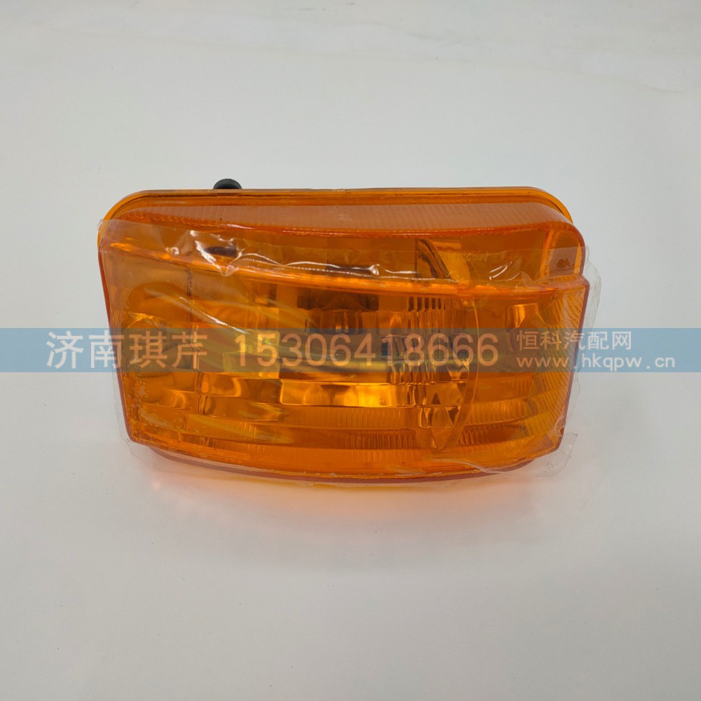 轉(zhuǎn)向燈總成