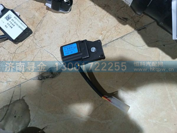 模式执行器带转臂24V（8112QL700-003） FG1613820310 001/1
