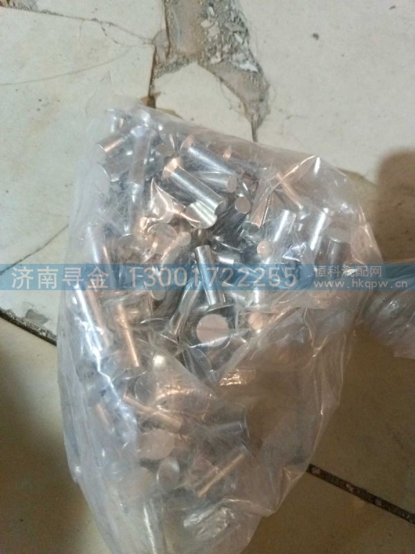 摩擦片铆钉（35C-01105 01） FG4012422285 001 01