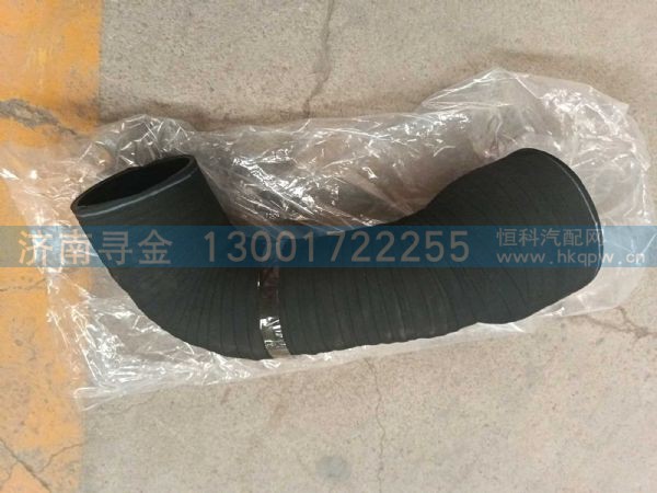 空滤器出气胶管 FZ981619000002
