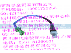 ,LJ474QE9（VA21104） 前氧传感器,济南寻金贸易有限公司