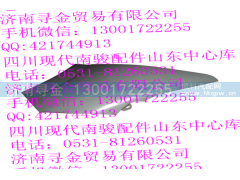 ,右翼子板侧外护板,济南寻金贸易有限公司
