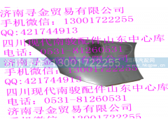 ,左翼子板侧外护板,济南寻金贸易有限公司