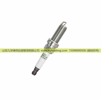火炬 LD8RCIP OE224 5511695670 火花塞 Spark Plug 铱金 适用乘用车