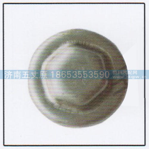 81.44312.0009,HD前轮毂帽,济南五丈原汽车配件有限公司（原奥隆威）