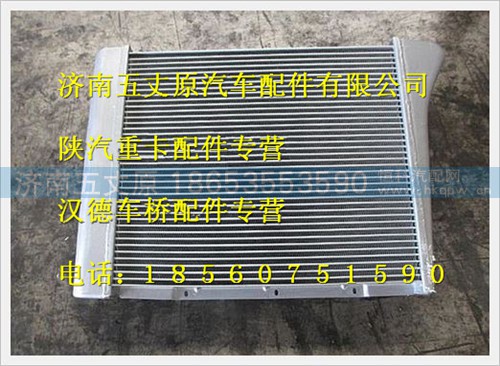 DZ91259531101,,济南五丈原汽车配件有限公司（原奥隆威）