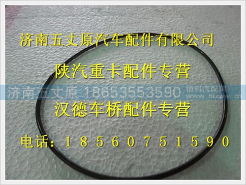 DZ91259520036,,濟(jì)南五丈原汽車配件有限公司（原奧隆威）