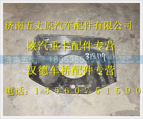 DZ95319318119,,济南五丈原汽车配件有限公司（原奥隆威）