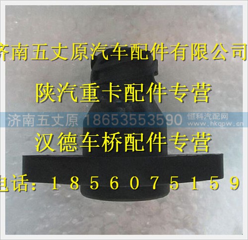 DZ93189583130,,济南五丈原汽车配件有限公司（原奥隆威）