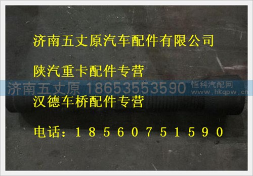 DZ9112190079,,济南五丈原汽车配件有限公司（原奥隆威）