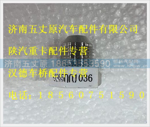 SZ955001036,,濟(jì)南五丈原汽車配件有限公司（原奧隆威）