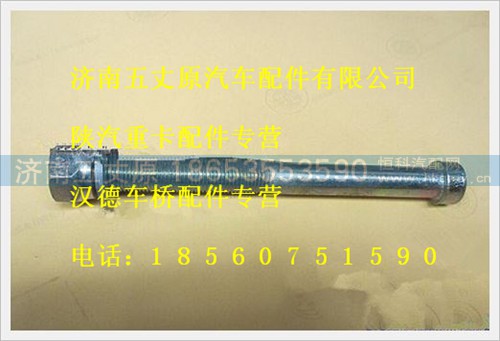 X199100520710,,济南五丈原汽车配件有限公司（原奥隆威）