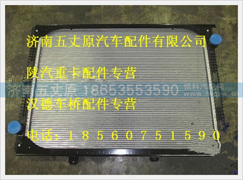 DZ95259532212,,济南五丈原汽车配件有限公司（原奥隆威）