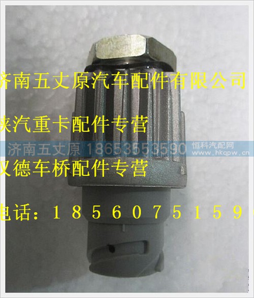 DZ93189582550,,济南五丈原汽车配件有限公司（原奥隆威）