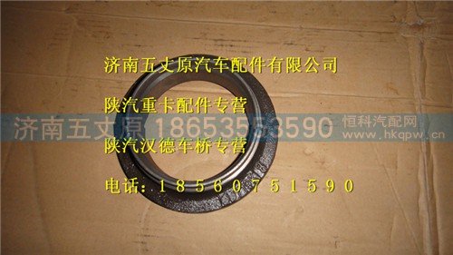 DZ95149320007,,济南五丈原汽车配件有限公司（原奥隆威）