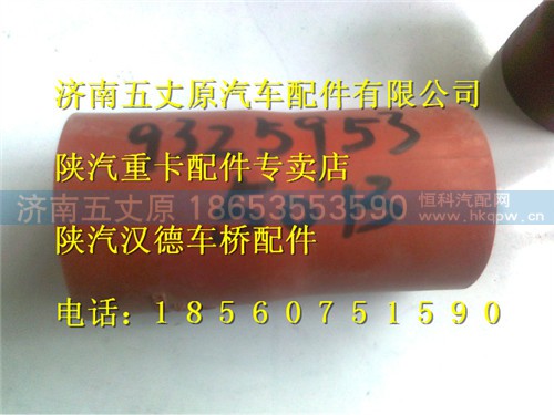 DZ93259535013,,济南五丈原汽车配件有限公司（原奥隆威）