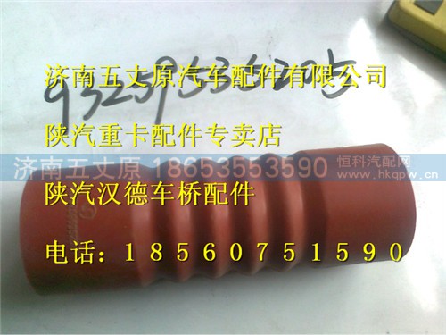 DZ93259535205,,济南五丈原汽车配件有限公司（原奥隆威）
