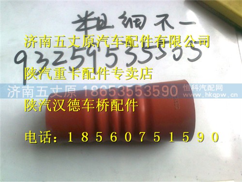 DZ93259535505,,济南五丈原汽车配件有限公司（原奥隆威）