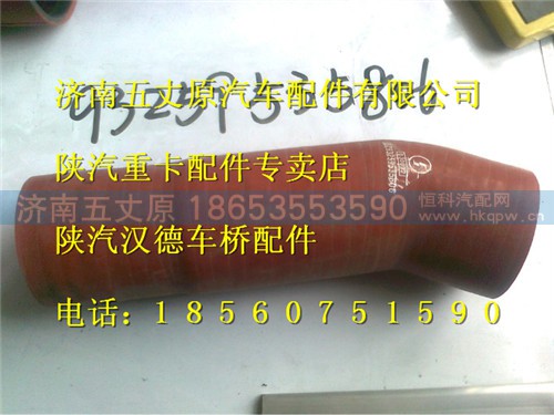 DZ93259535806,,濟南五丈原汽車配件有限公司（原奧隆威）