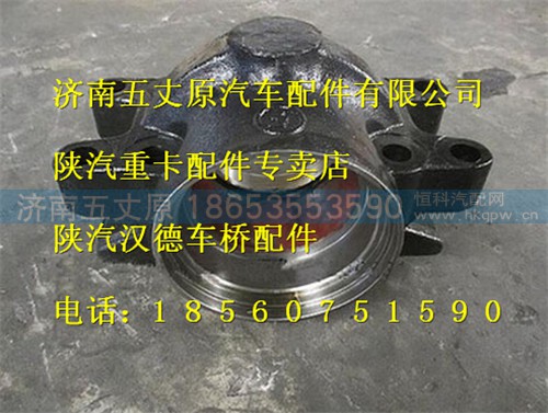 DZ91259520038,,濟(jì)南五丈原汽車配件有限公司（原奧隆威）
