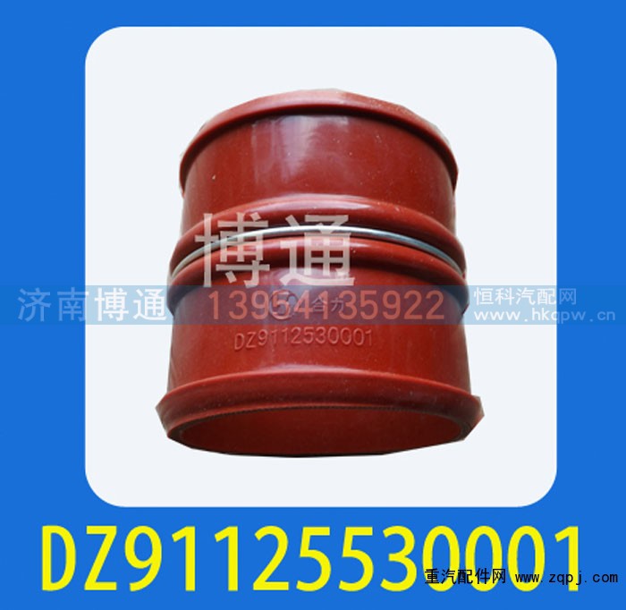 DZ91125530001,,济南博通重汽备件库