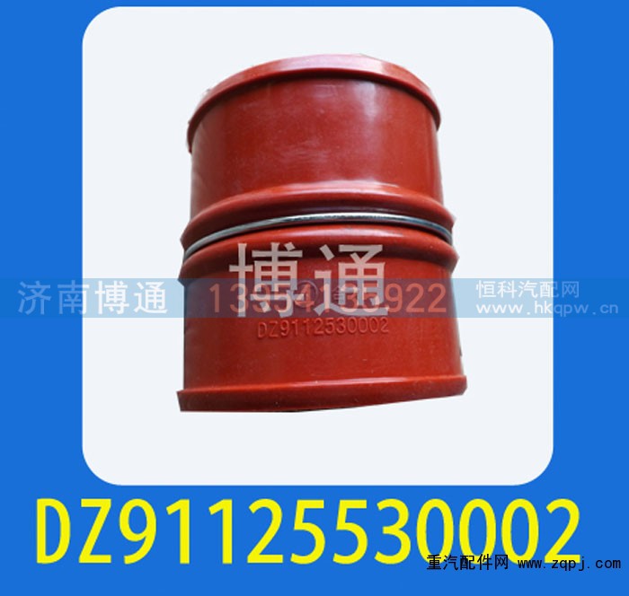 DZ91125530002,,济南博通重汽备件库