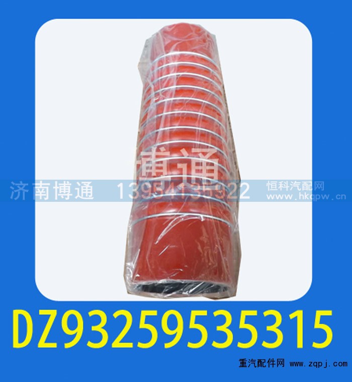 DZ93259535315,,济南博通重汽备件库