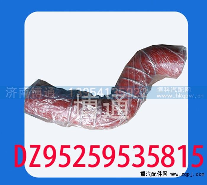 DZ95259535815,,济南博通重汽备件库