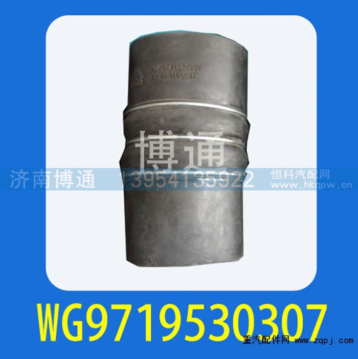 WG9719530307,,济南博通重汽备件库