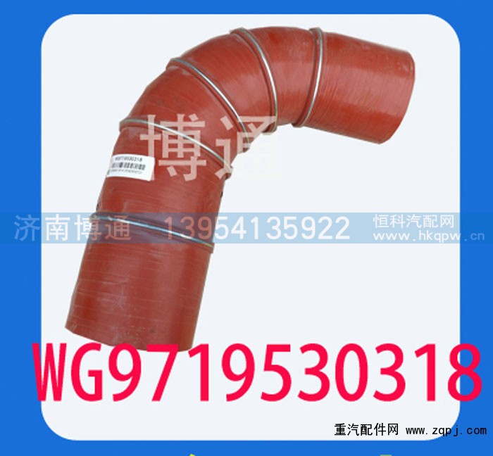 WG9719530318,,济南博通重汽备件库