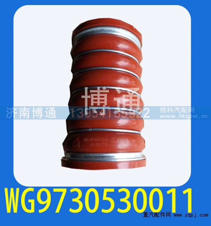 WG9730530011,,济南博通重汽备件库