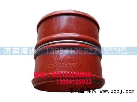 DZ91125530001,,济南博通重汽备件库
