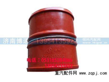DZ91125530001,,济南博通重汽备件库