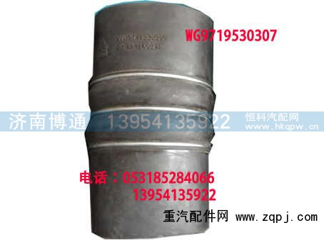 WG9719530307,,济南博通重汽备件库