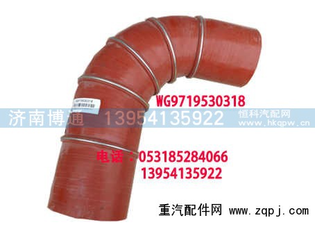 WG9719530318,,济南博通重汽备件库