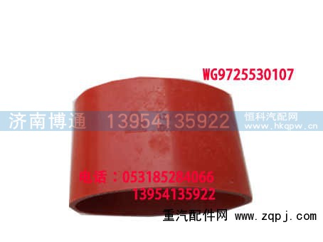 WG9725530107,,济南博通重汽备件库