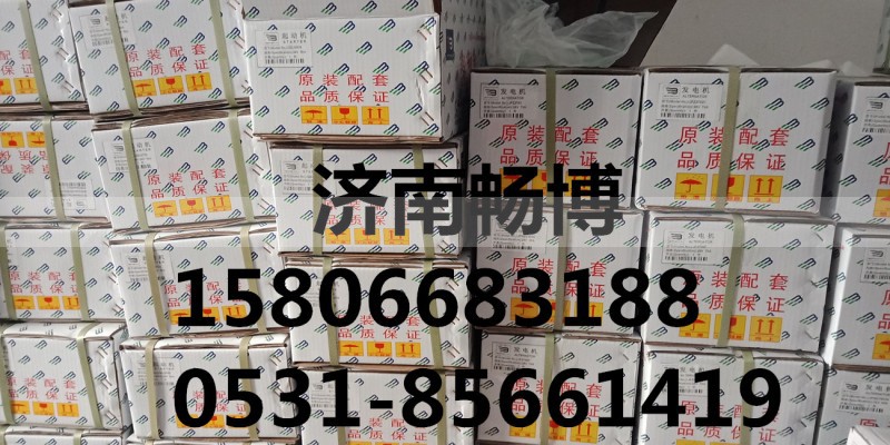 600-821-6130,發(fā)電機(jī),濟(jì)南暢博汽車零部件有限公司