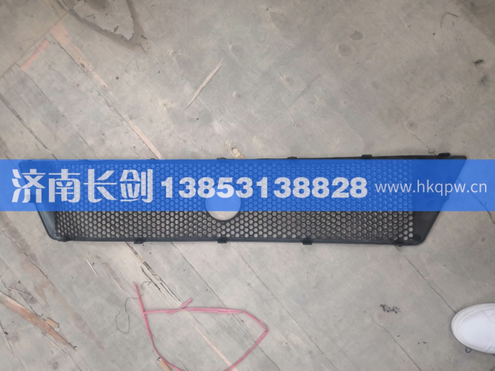 重汽豪沃T5G保险杠装饰网WG1664245002