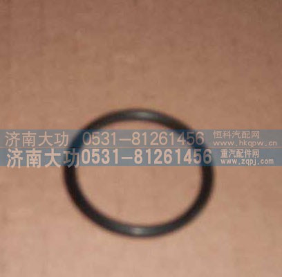 VG1540040010,喷油器衬套密封圈,济南大功汽车配件有限公司