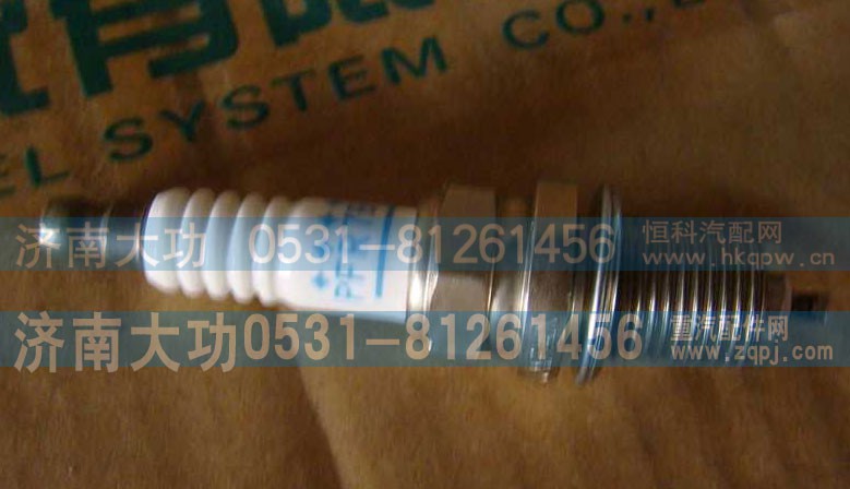 VG1560080701,火花塞 T10,济南大功汽车配件有限公司