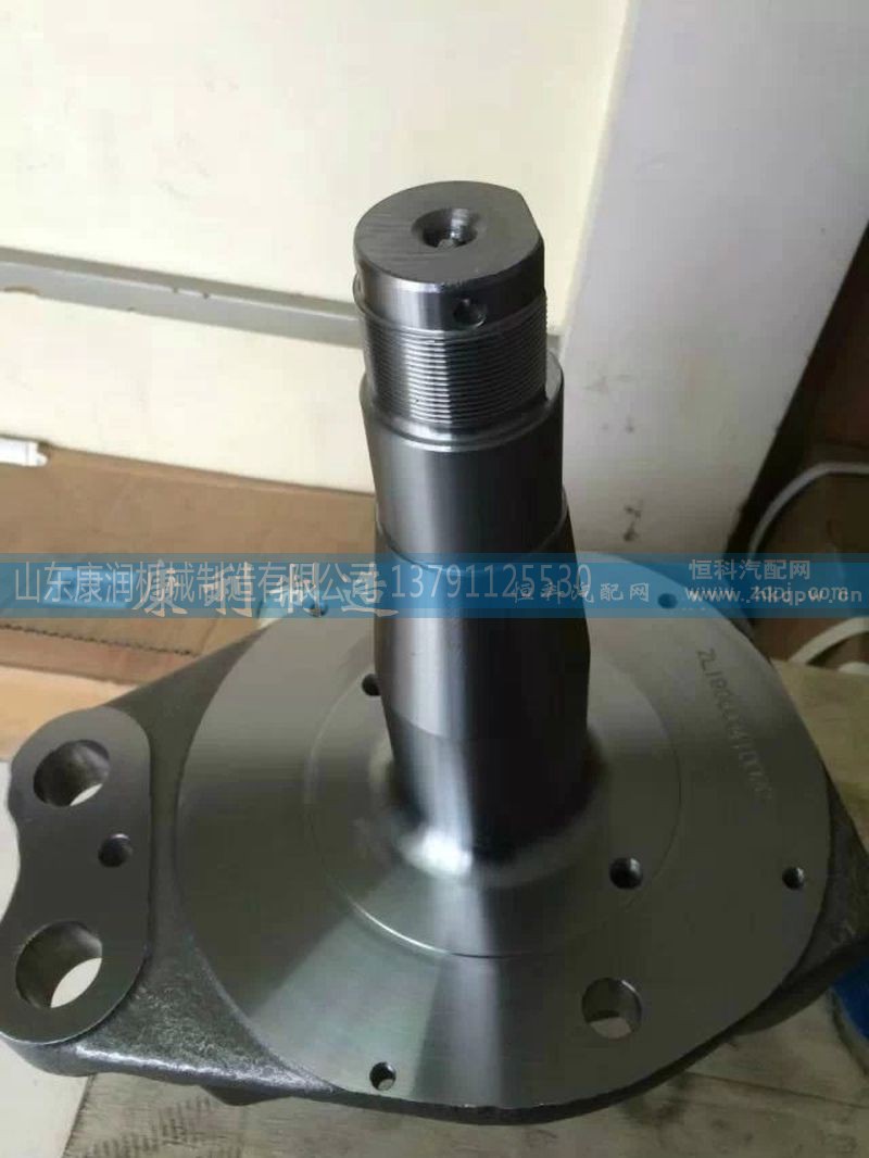 199000410028,转向节,山东康润机械制造有限公司