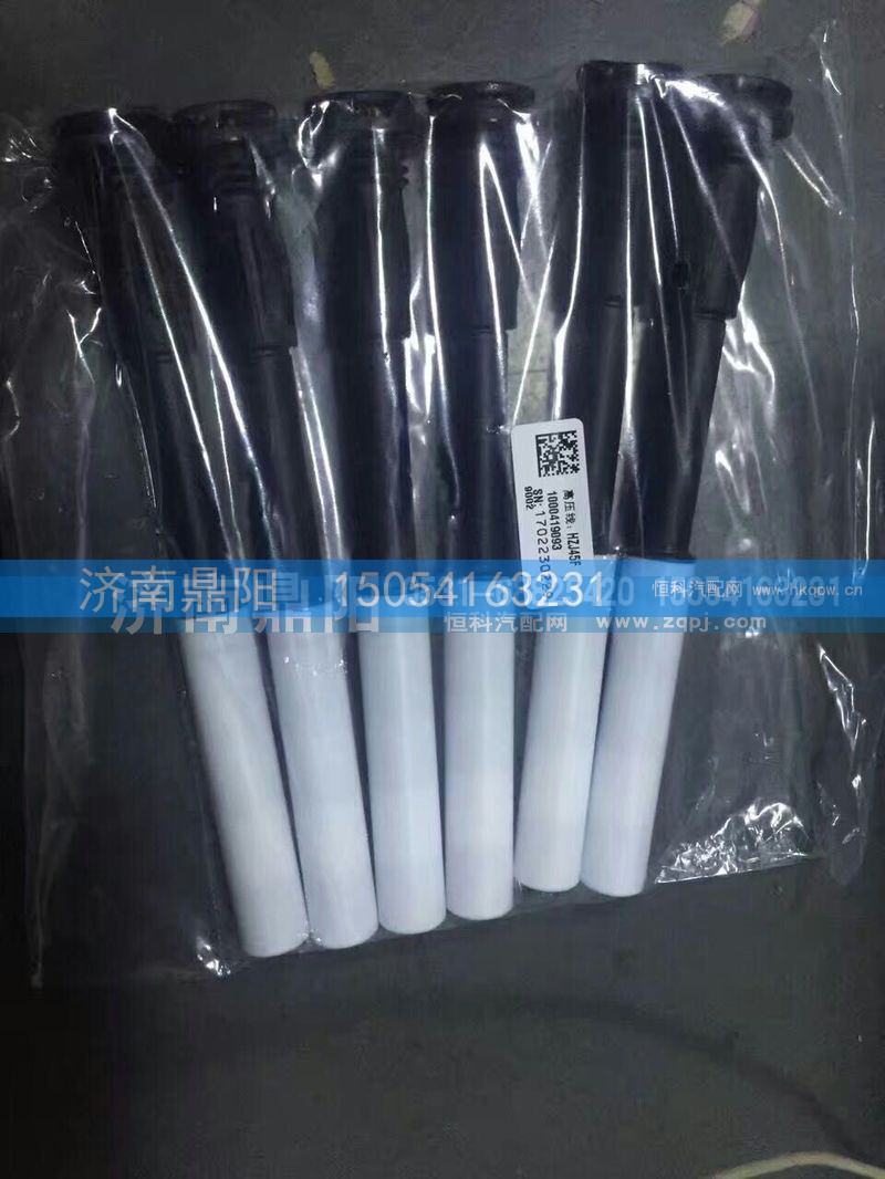 1000419093,高压线,济南鼎阳汽车配件有限公司
