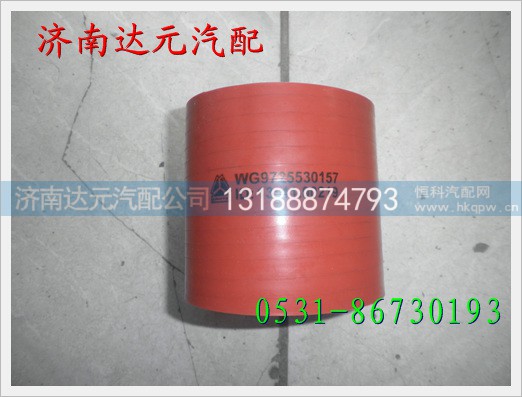WG9725530157,,济南达元汽配公司
